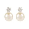 Royal Collection Shop Large Pearl Earrings | Earrings