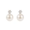 Royal Collection Shop Small Pearl Earrings | Earrings