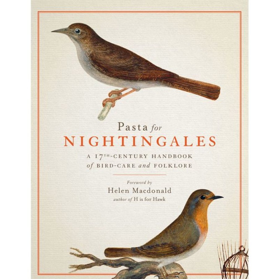 Royal Collection Shop Pasta For Nightingales: A 17Th-Century Handbook Of Bird-Care And Folklore | Royal Collection Publications